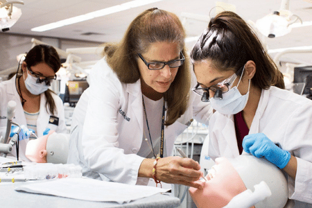 Dental career in academia