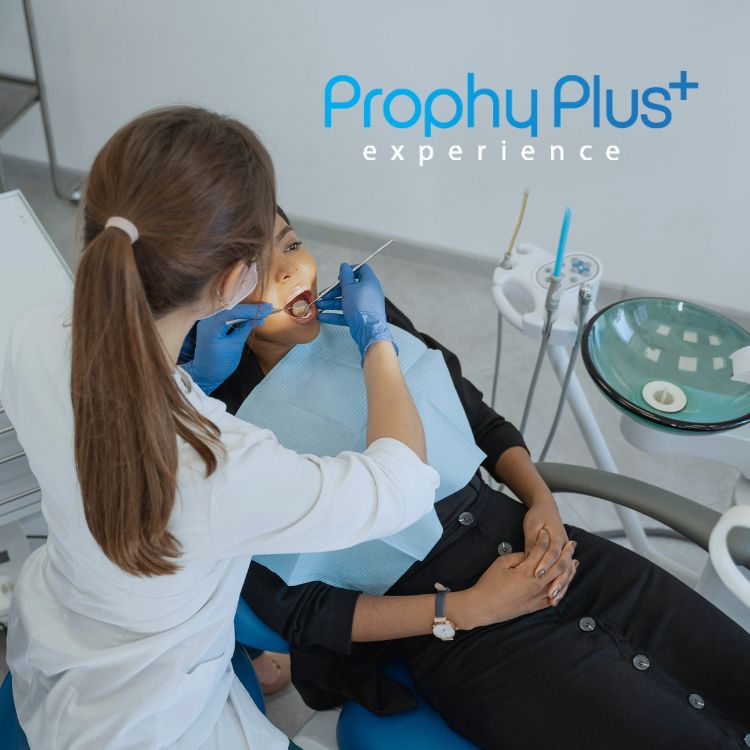 Prophy Plus Experience Prophy Plus Experience